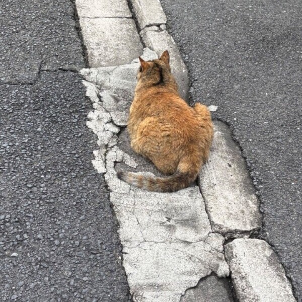 明日五反田7時から❗️