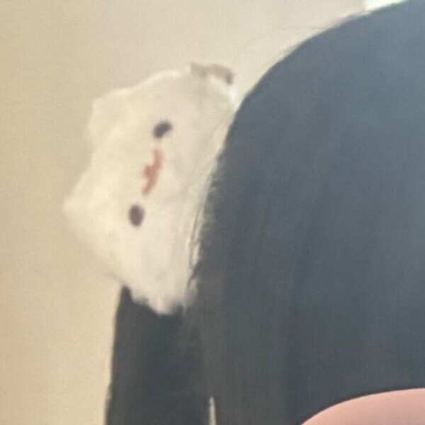 今週
