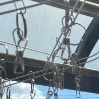 つみき