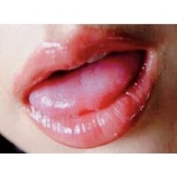 めいこ