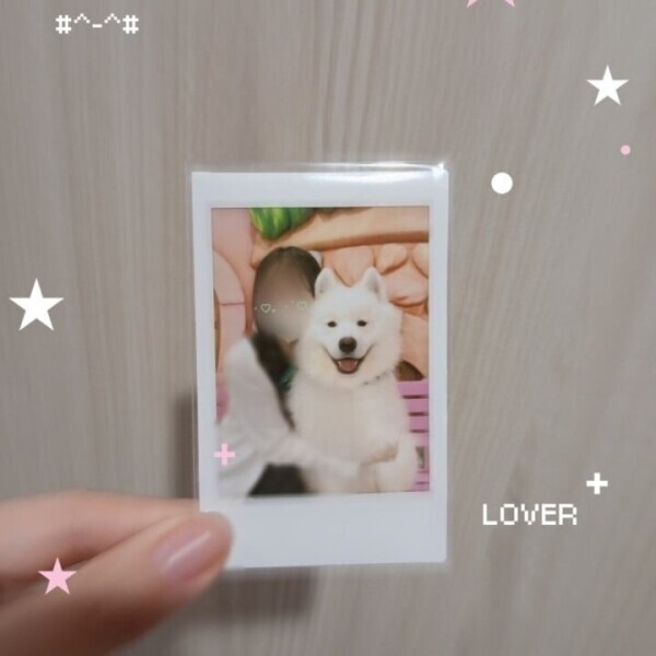 🐶イッヌと戯れるサッヤ🐶