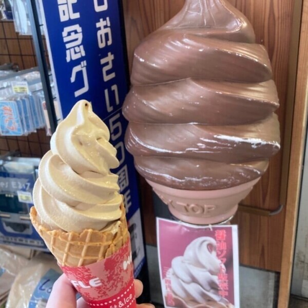 来月前半の予定☆