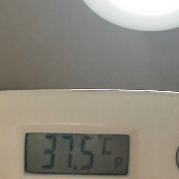 休んでます🤒