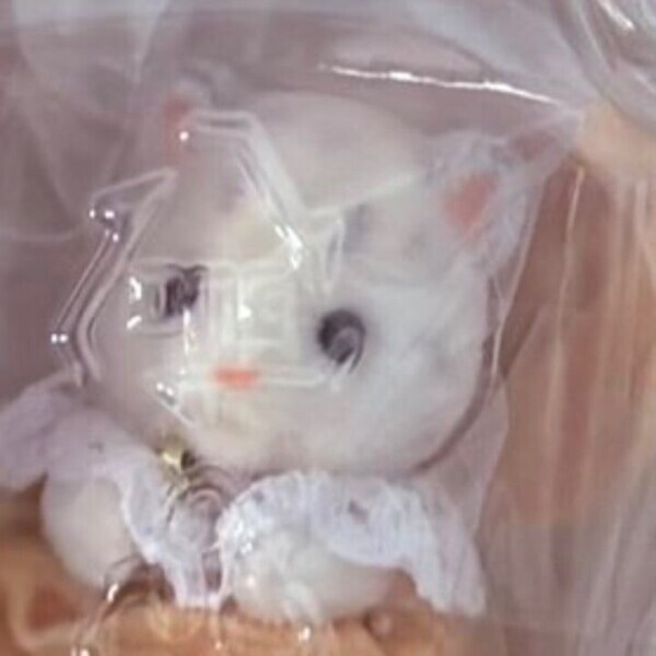 久しぶりのおやすみ