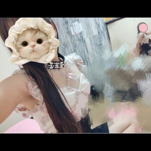 🕊 ͗ ͗〰︎︎