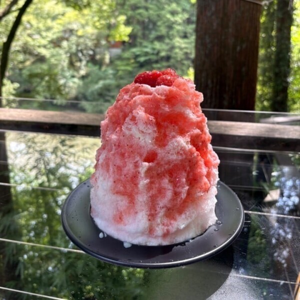 なほさん出勤追加❣️