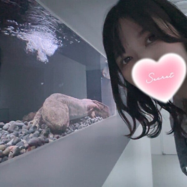 おはよ！