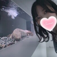 すず
