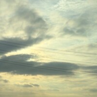 おれお