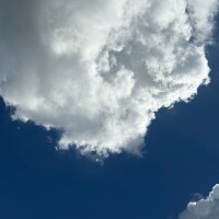 はる
