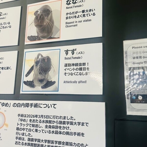 おはよ！