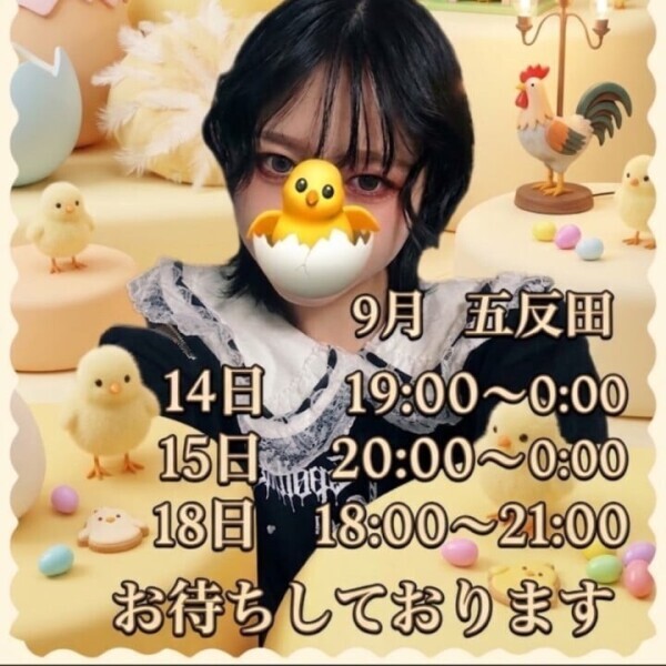 ご予定