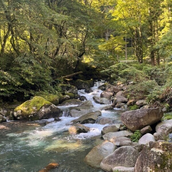 🏕♡