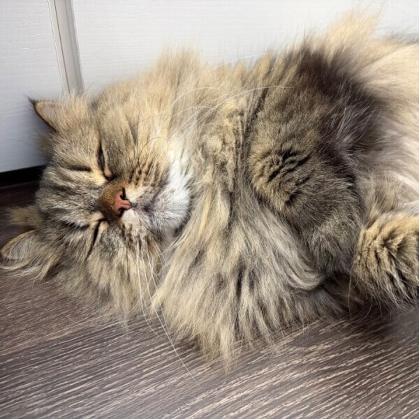 今日もよろしくお願いします💓