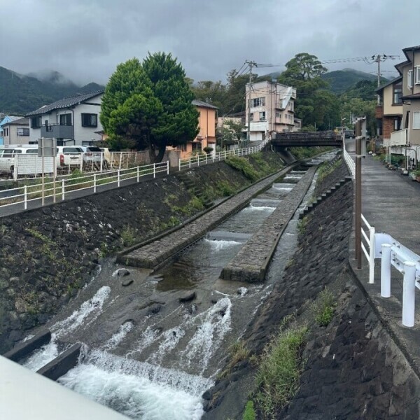 しゅ！！！