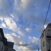 ゆな