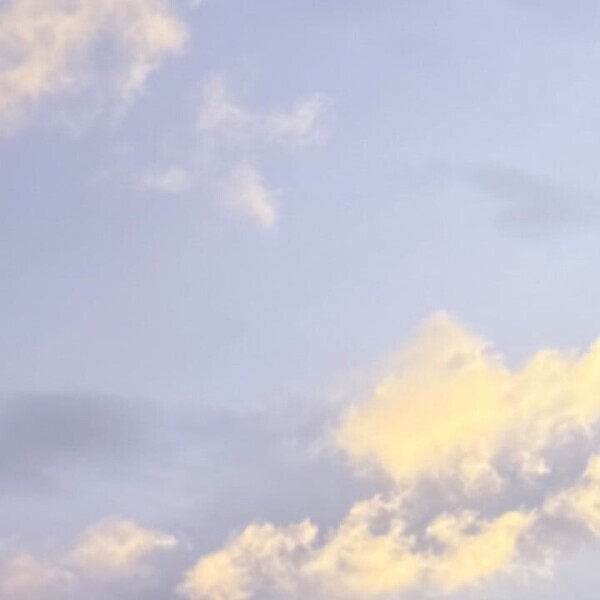 夕方