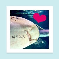 いちか