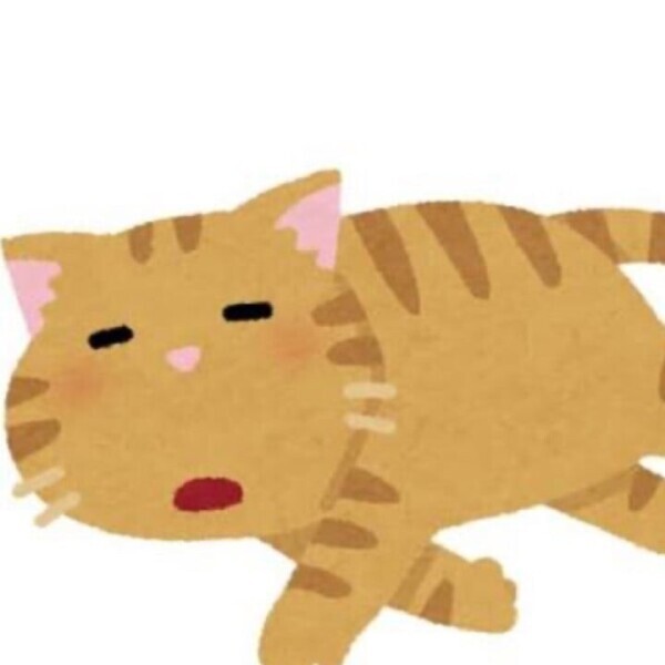 本日も！