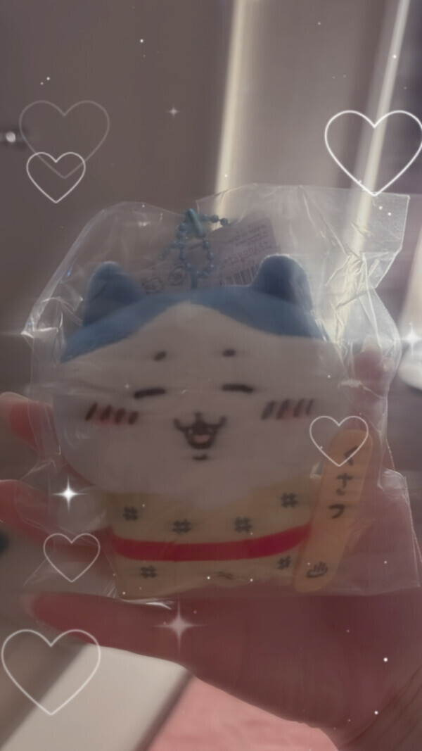 たいきーん🌟