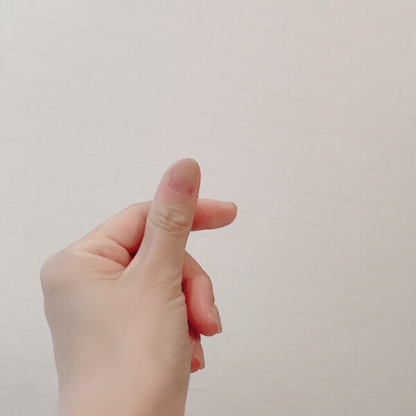 今日もいるよ
