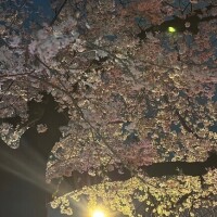 さとこ