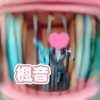 楓音(かのん)