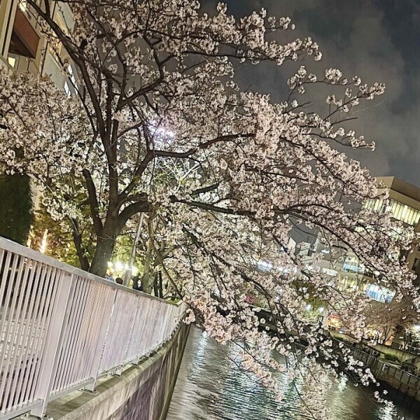 💞🌿🌟