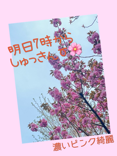 明日は7時から出勤♡