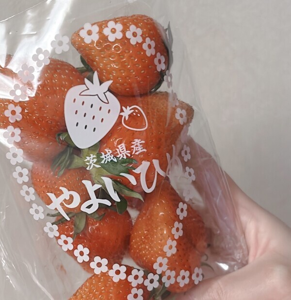 たいきーん✨