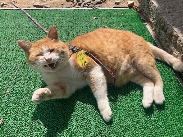 日曜日☆