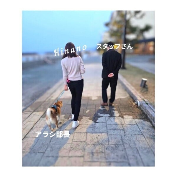 アラシ部長のお散歩をしながら真面目に談義した🐕