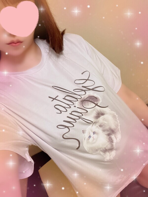 ねこー🐈