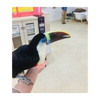 ゆずは