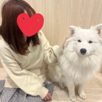 まきな