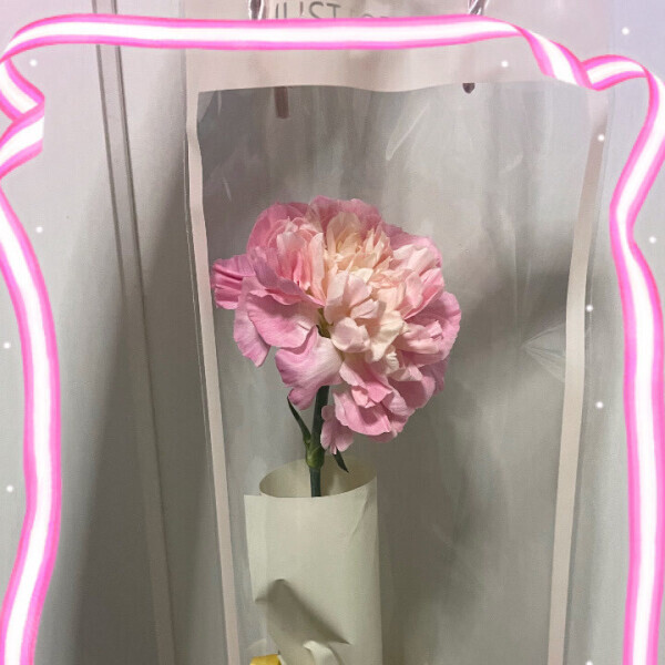 今週もありがとうございました🤗