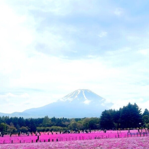 はぴ