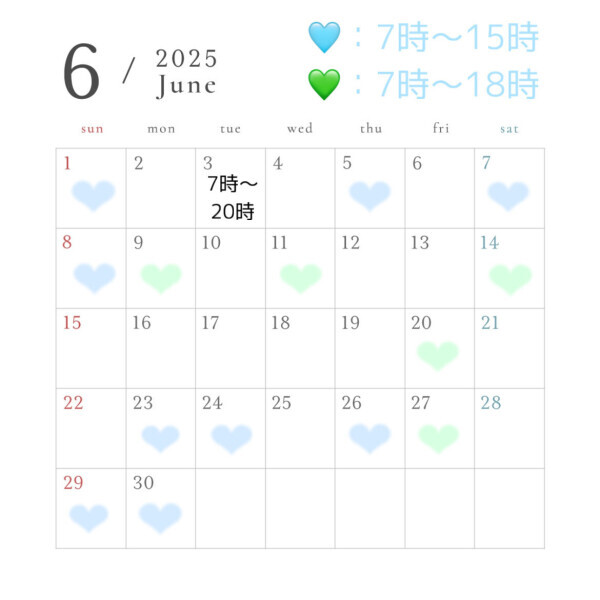 6月の予定