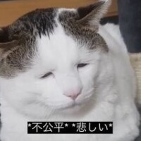 のえる