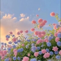 とうり