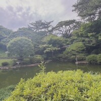 りぜ