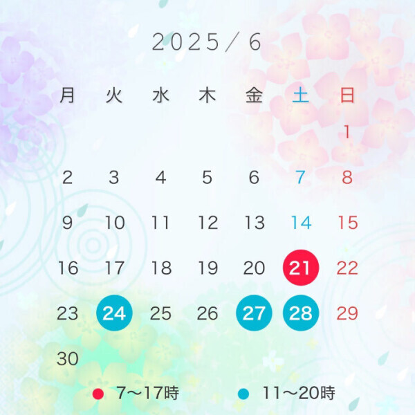 6月の予定