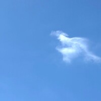 ひかり