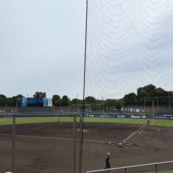 今日は