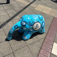 せいは