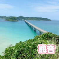 楓音(かのん)