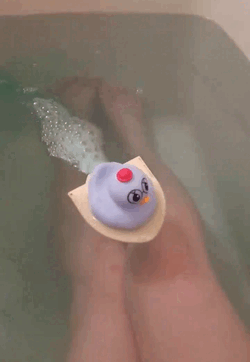 🐤