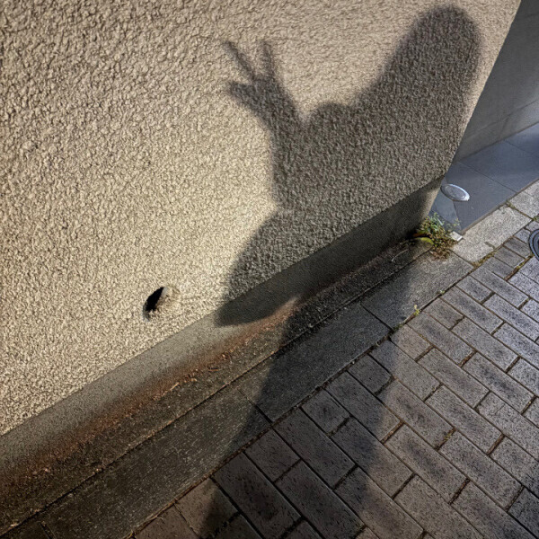 ひゃー