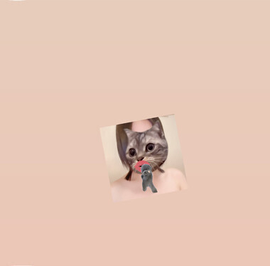 きんようび