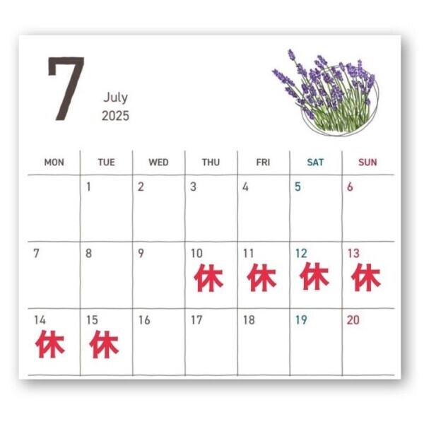 7月の予定🌻